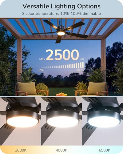 EDISHINE 52-Inch Black Outdoor Ceiling Fan with Light & Remote, 5200 CFM, 3 CCT