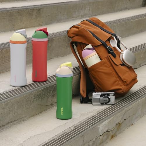 Owala FreeSip Stainless Steel Water Bottle 24 oz Denim - Insulated, Leakproof, Wide Mouth, Locking Lid