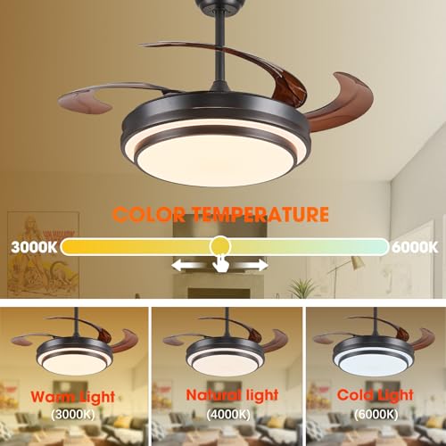 Y48D005 48-Inch Reversible Retractable Ceiling Fan with Lights - Black