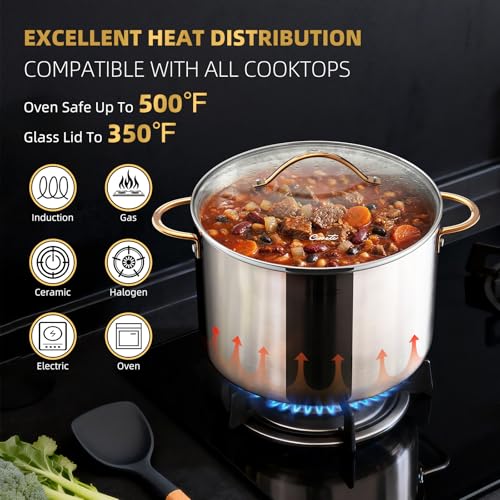 12 Quart Stock Pot with Lid - Tri-Ply Stainless Steel Large Cooking Pot