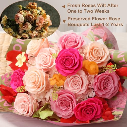 Lovenfold Preserved Mixed Roses Bouquet - 12 Champagne Roses Gift for Her, Mom, Grandma (Variation 1204)