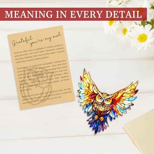 Owl Christmas Ornaments 2025, Owl Gifts for Women Men, Owls Christmas Tree Ornament Hanging for Tree, Window, Gift Exchange Ideas, Holidays Decor for Owls Lovers, Teacher Appreciation Gifts