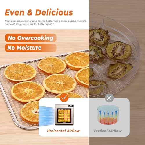 Vassillias Silver Food Dehydrator Machine with 5 Stainless Steel Trays, Digital Timer & Temperature Control