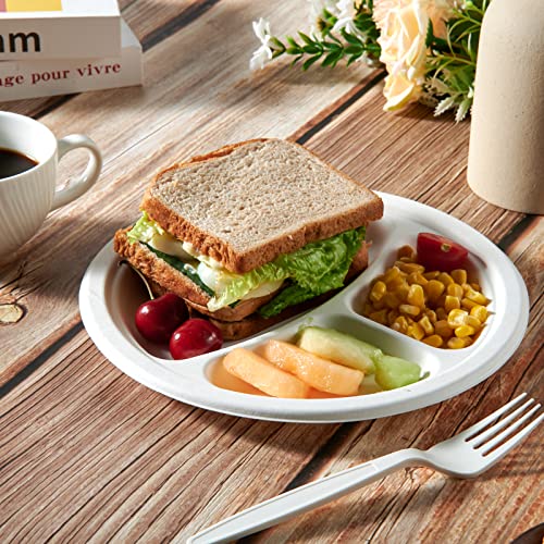 Vplus Compostable Plates 10 Inch 3-Compartment White Pack of 500 - Eco-Friendly Dinnerware