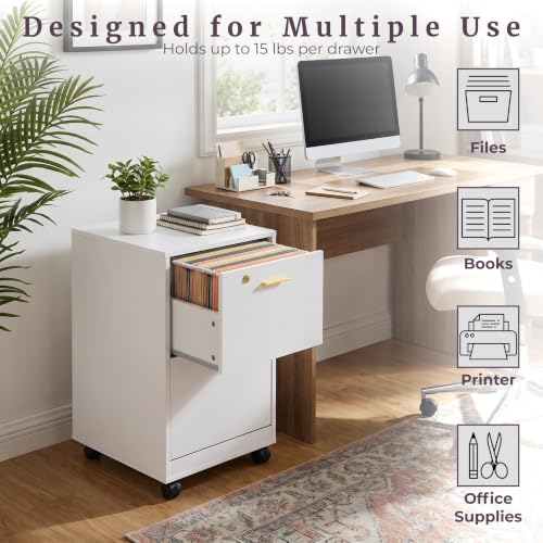 White Wooden File Cabinet with Lock & 2 Drawers - 16x27 Inch, Gold Hardware Variation