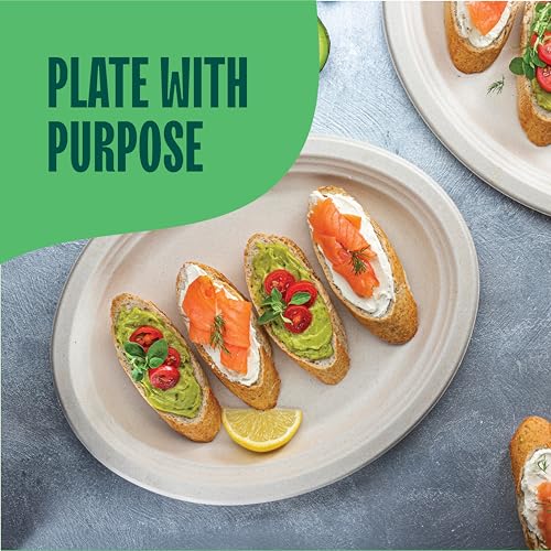 Heavy Duty 12.5 Inch Compostable Oval Paper Plates - 500 Pack, Eco-Friendly, Biodegradable