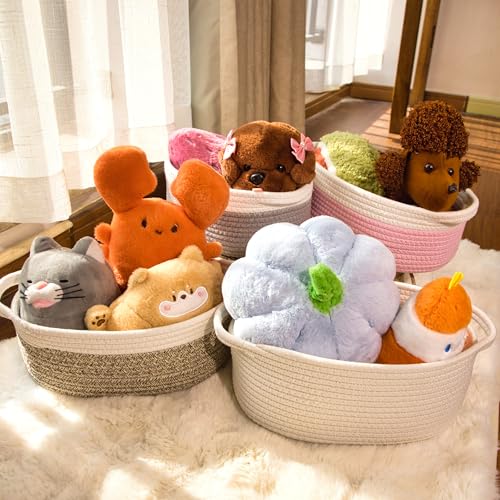 2 Pack Small Woven Storage Basket with Handles 12"x8"x5", Decorative Rope Bin for Home Organization, Shelf Storage,Cotton Rope Room Shelf Storage Basket with Handles