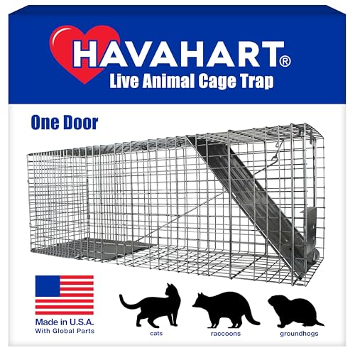 Large Humane Animal Trap for Raccoons Cats and More - Heavy Duty Steel