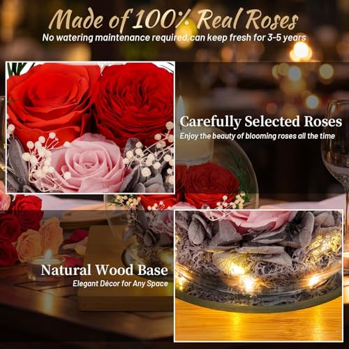 ENERLEAF Colorful Preserved Real Rose in Glass with Scented Candles – Forever Flower Gift