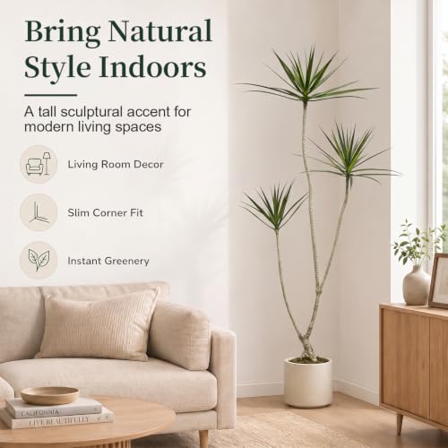 6ft Dracaena Marginata Artificial Tree - 3-Head Faux Dragon Tree with Realistic Leaves & Natural Twisted Trunk - Variation of 6ft 1in
