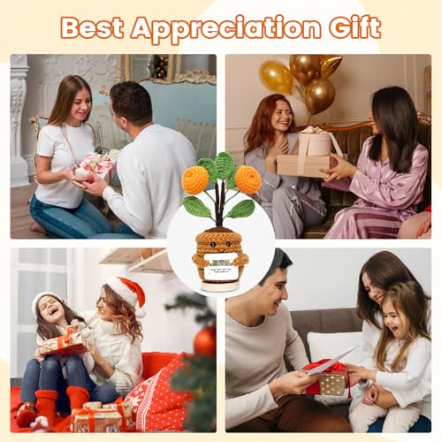 Emotional Support Plant Crochet Flowers Gift for Grandma Women - Sakkrrua