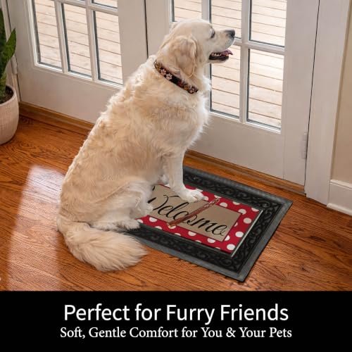 Evergreen Sassafras Fall Holiday Doormat Set with Interchangeable Inserts & Tray - V1