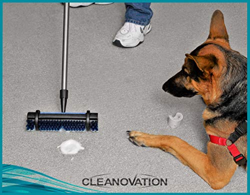 Carpet & Rug Cleaner Brush with Telescoping Handle - Stain & Dirt Removal