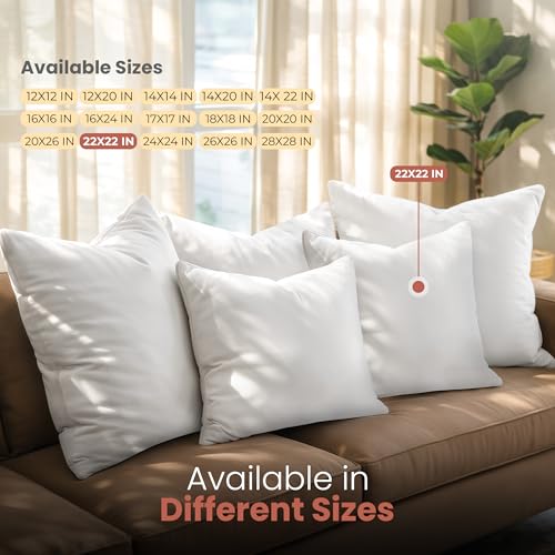 White 22x22 Inch Pillow Inserts - 2 Pack, Supportive & Bounce Back Cushions