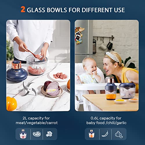 Electric Food Processor with 2 Glass Bowls, 400W Chopper for Meat & Vegetables