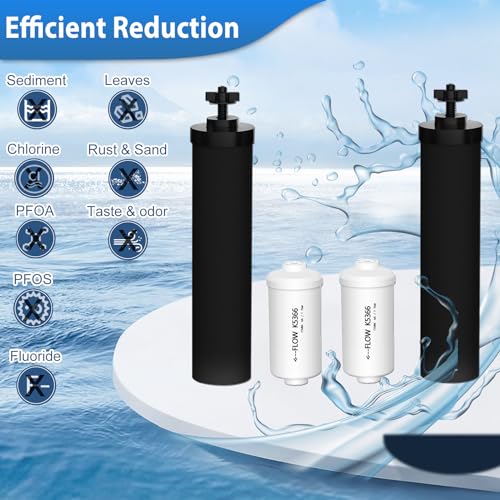 Virego Black & White Set Water Filter Replacement for Berkey Gravity System - 4 Pack