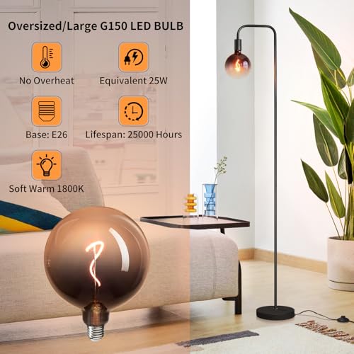 Black 1800K Minimalist Floor Lamp with Globe Bulb - Tall Industrial Living Room Light