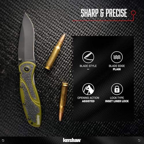 Kershaw Blur Pocket Knife, Black, 3.4 Inch Recurve Blade
