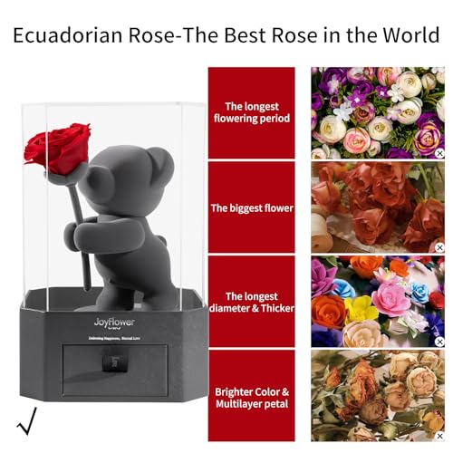 JoyFlower Rose in Hand Teddy Bear with Acrylic Cover & Gift Box - Romantic Preserved Flower Gift for Her