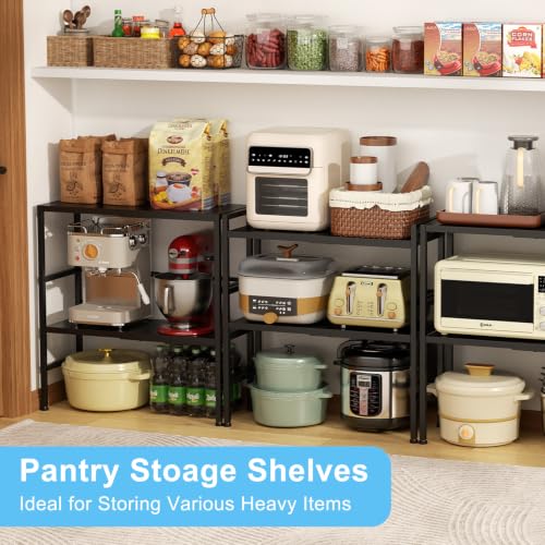 2-Tier Adjustable Metal Storage Shelves - Heavy Duty Utility Rack 11.8"D x 28.3"W x 30.9"H
