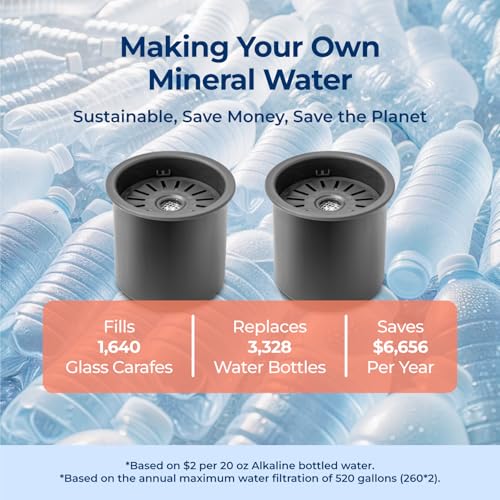 Dual-Pack Water Filter Remineralization Set - 1 Year Supply for RO Systems