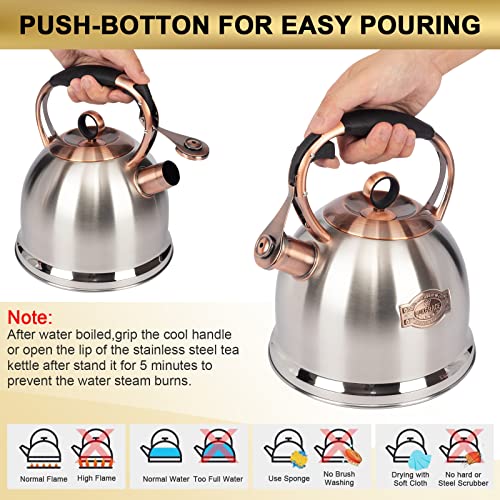 Silver Whistling Stovetop Tea Kettle 3.0 Qt Food Grade Stainless Steel - Fast Boil
