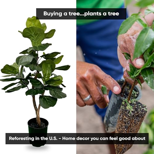 3ft Artificial Fiddle Leaf Fig Tree - Green, Handcrafted Indoor Plant - Variation of THIS listing