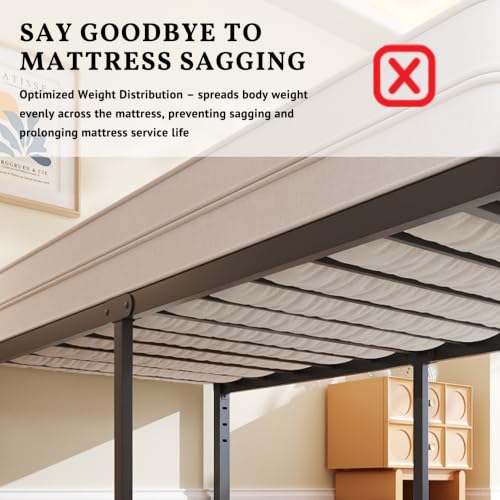 ZIYOO 14 Inch Queen Metal Bed Frame - Heavy Duty Platform Bed with Sag-Resistant Support, No Box Spring Needed, Easy Assembly, Black