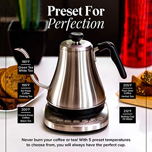 Gooseneck Electric Kettle with Temperature Control - 0.8L Stainless