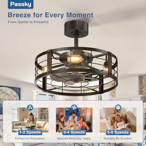 Black 20-Inch Caged Ceiling Fan with Lights and Remote Control