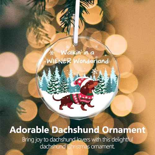 Christmas Ornaments 2025 - Dachshund Christmas Decorations Weiner Dog Decor Dachshund Gifts for Women Glass Christmas Dachshund Ornament with Box