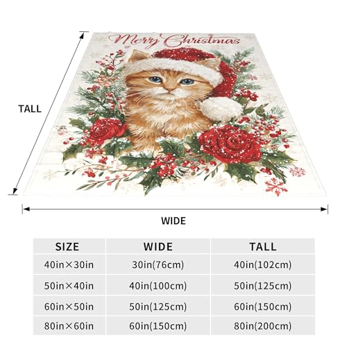 IBTKQSM Christmas Cat Throw Blanket 40×50 in – Soft Flannel Gift for Cat Lovers