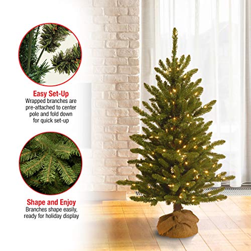 4ft Pre-Lit Artificial Christmas Tree - Full Profile Holiday Decor - Variation of Trees