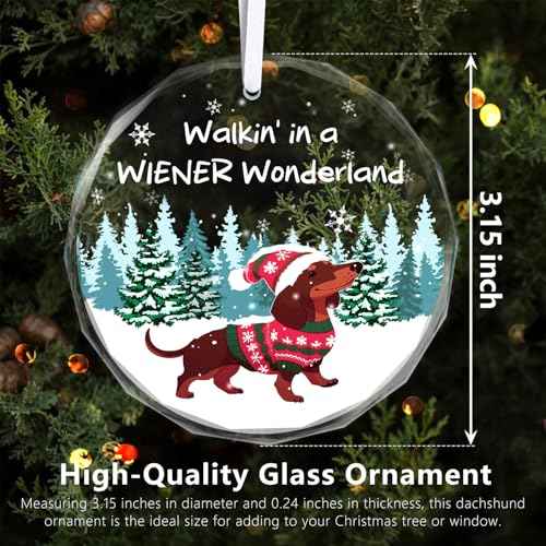 Christmas Ornaments 2025 - Dachshund Christmas Decorations Weiner Dog Decor Dachshund Gifts for Women Glass Christmas Dachshund Ornament with Box
