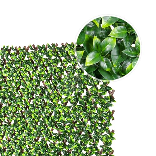 NatraHedge 20x50 Faux Privacy Grass Wall Ficus Leaf Decor - Outdoor Garden Screen