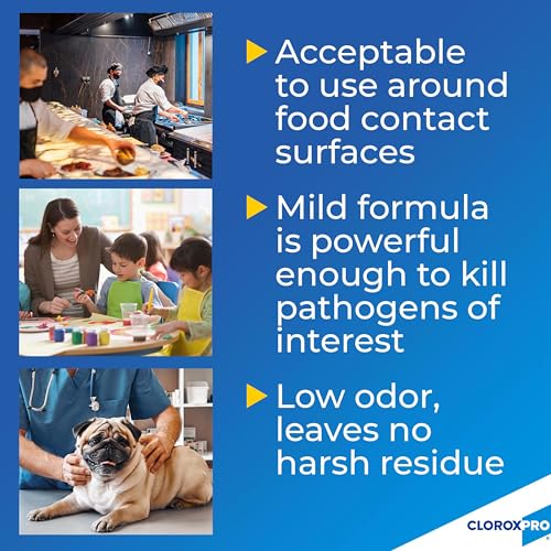 CloroxPro Daily Disinfectant Food Surface Sanitizer Refill 128 Fl Oz - No Rinse, Kills Viruses & Bacteria