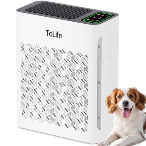 White Large Room Air Purifier with H13 Filtration for Pets & Sleep Mode