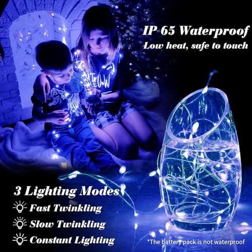 Blue 24-Pack Fairy Lights Battery Operated 7ft Silver Wire 20 LED, 3 Modes
