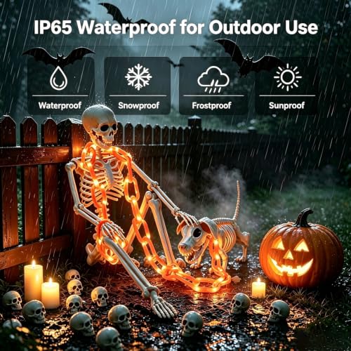 Outdoor Skeleton & Dog Skeleton with Light Chain - Halloween Decorations
