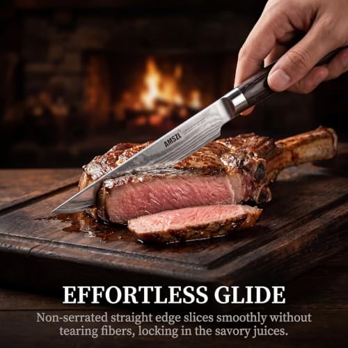6-Piece VG10 Damascus Non-Serrated Steak Knife Set with Pakkawood Handles