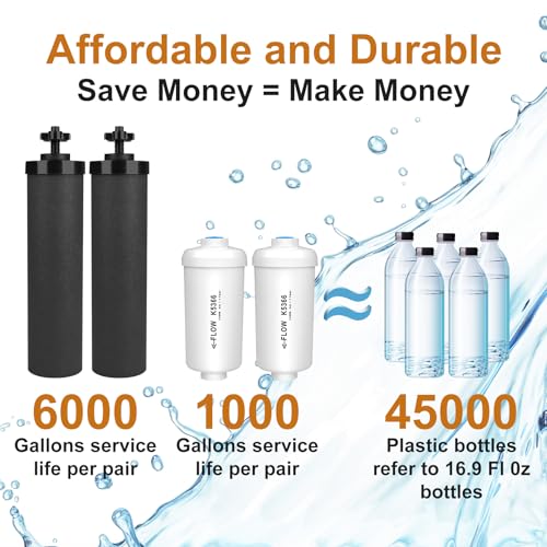 Water Filter Replacement for Berkey Gravity System - 2 Black Carbon & 2 Fluoride Filters