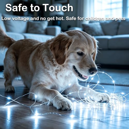 24 Pack Fairy Lights Battery Operated, 2M Cool White with 3 Modes | Osterplus