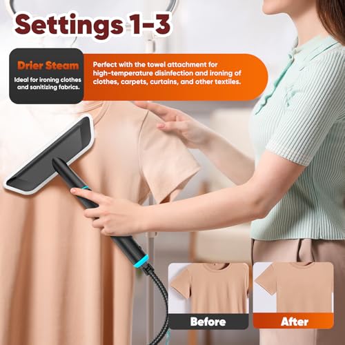 Handheld Steam Cleaner for Home - Green/Gold 1250ml Pressurized Steamer
