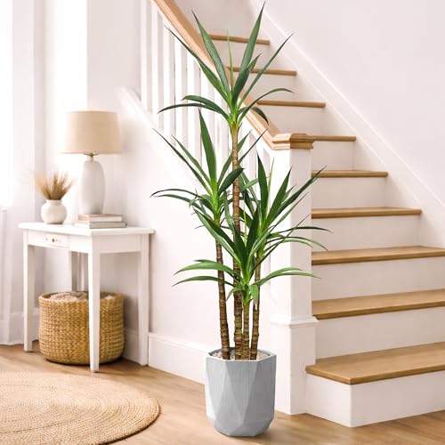 Artificial Agave Tree 4.8Ft with 4 Stems and Plastic Pot - Tall Faux Plant for Home & Office Decor - Variation: 4ft 10in