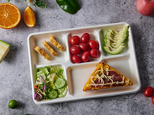Compostable 5-Compartment Paper Plates 100 Pack Eco-Friendly Disposable Dinnerware