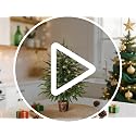 2FT Norfolk Pine Tree with Pot - Real Touch Artificial Christmas Tree for Indoor & Outdoor Decor - Siyaluens
