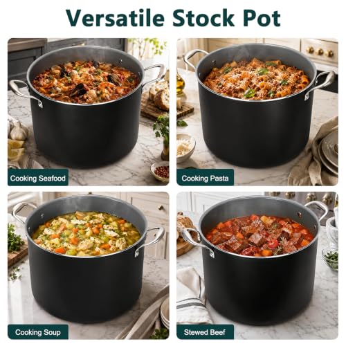 TeakLake 16QT Nonstick Ceramic Stock Pot with Glass Lid & Cool Handles
