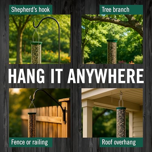 Squirrel Proof Bird Feeder 5lb Capacity - Weatherproof Outdoor Bird Feed Station