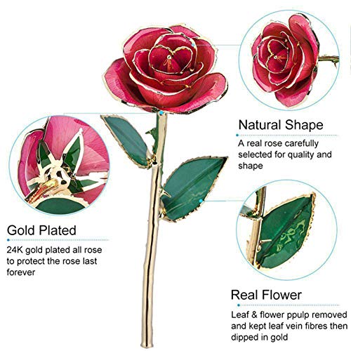 Pink Blooming Rose Gift - 24K Gold Dipped Real Rose for Mother’s Day, Valentine's, Christmas & Birthdays