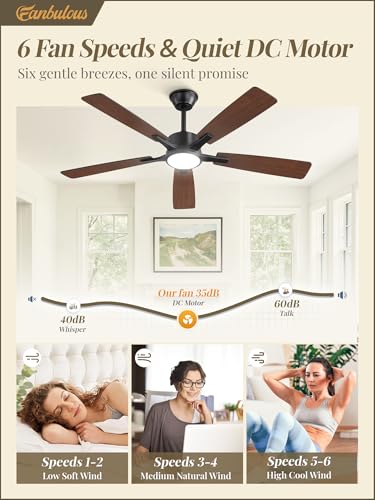 Fanbulous 52 Inch Ceiling Fan with Lights Black Remote & App Control